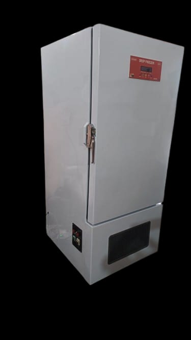 Deep Freezer, -20°C
